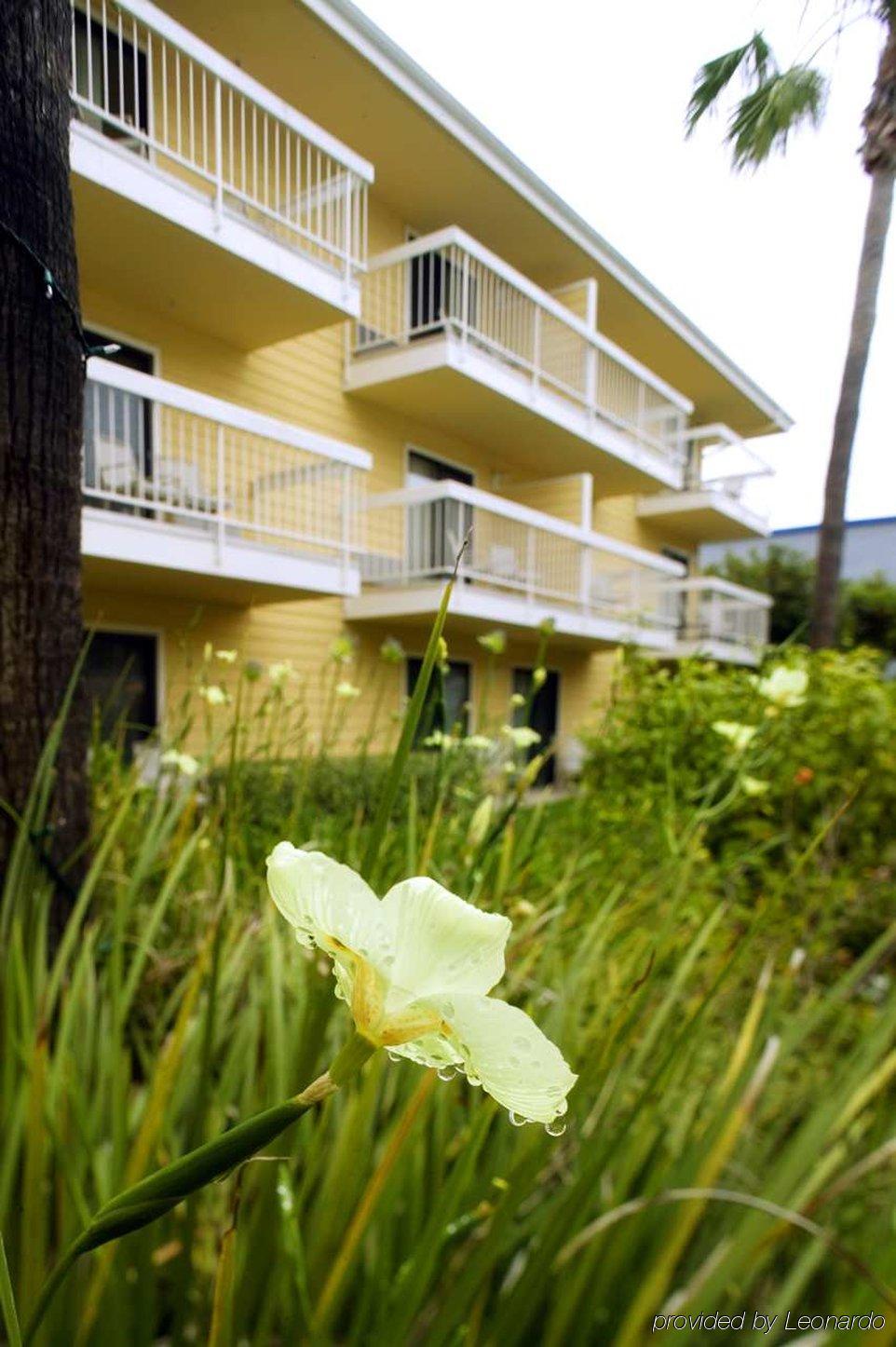 Four Points By Sheraton San Diego - Sea World Room photo